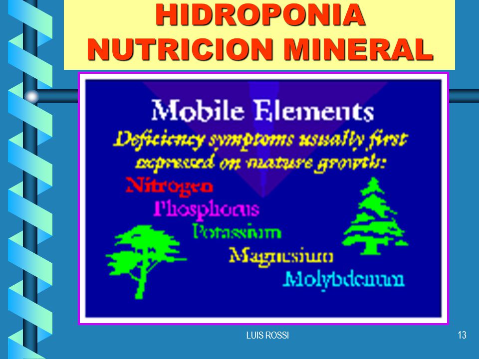 HIDROPONIA NUTRICION MINERAL