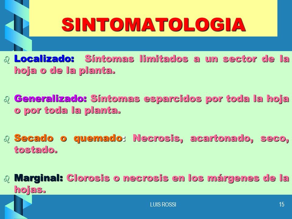 SINTOMATOLOGIA Localizado: Síntomas limitados a un sector de la hoja o de la planta.