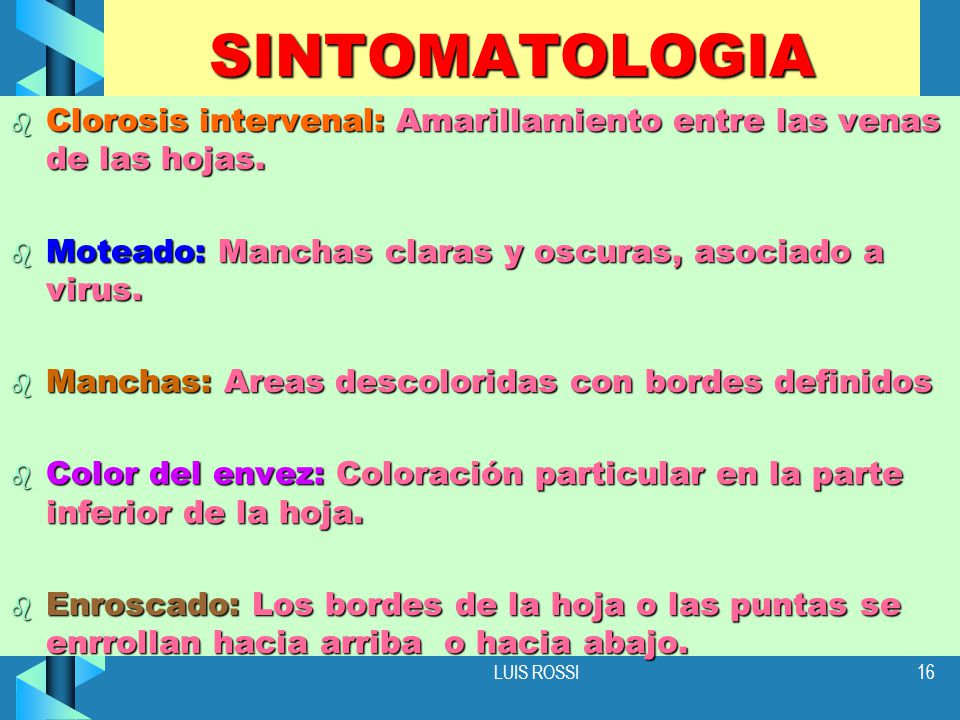 SINTOMATOLOGIA Clorosis intervenal: Amarillamiento entre las venas de las hojas. Moteado: Manchas claras y oscuras, asociado a virus.