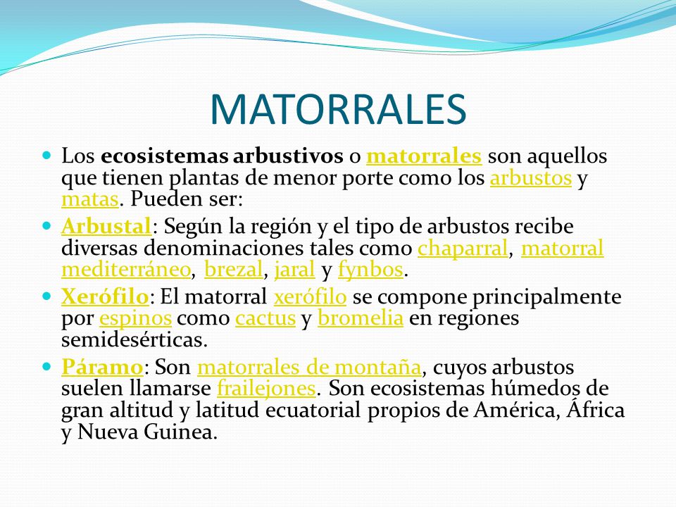 MATORRALES Los ecosistemas arbustivos o matorrales son aquellos que tienen plantas de menor porte como los arbustos y matas. Pueden ser: