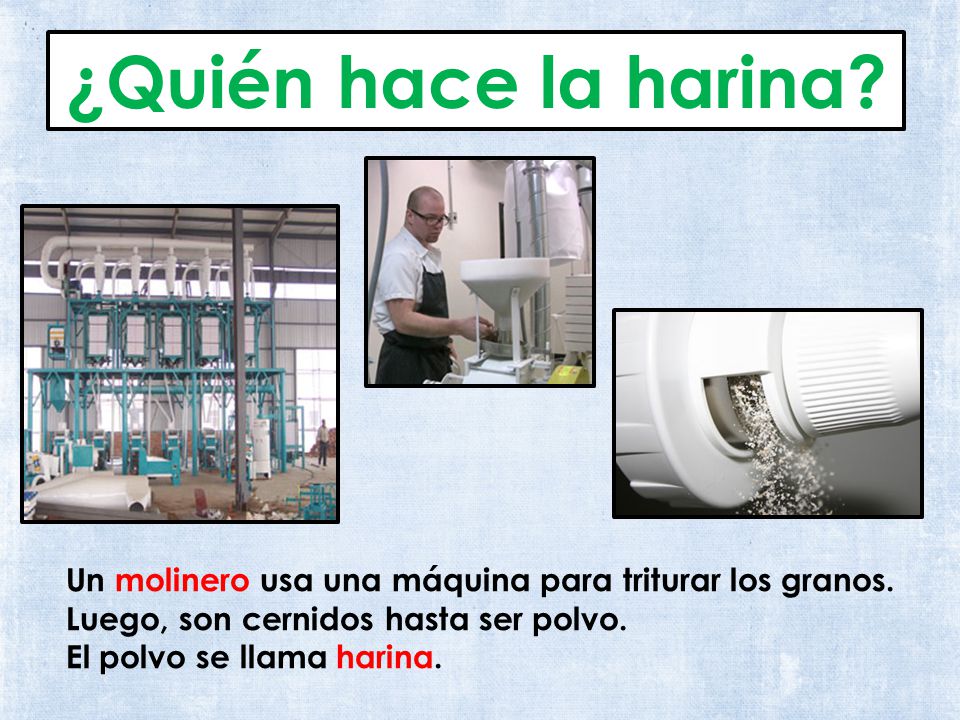 ¿Quién hace la harina Un molinero usa una máquina para triturar los granos. Luego, son cernidos hasta ser polvo.