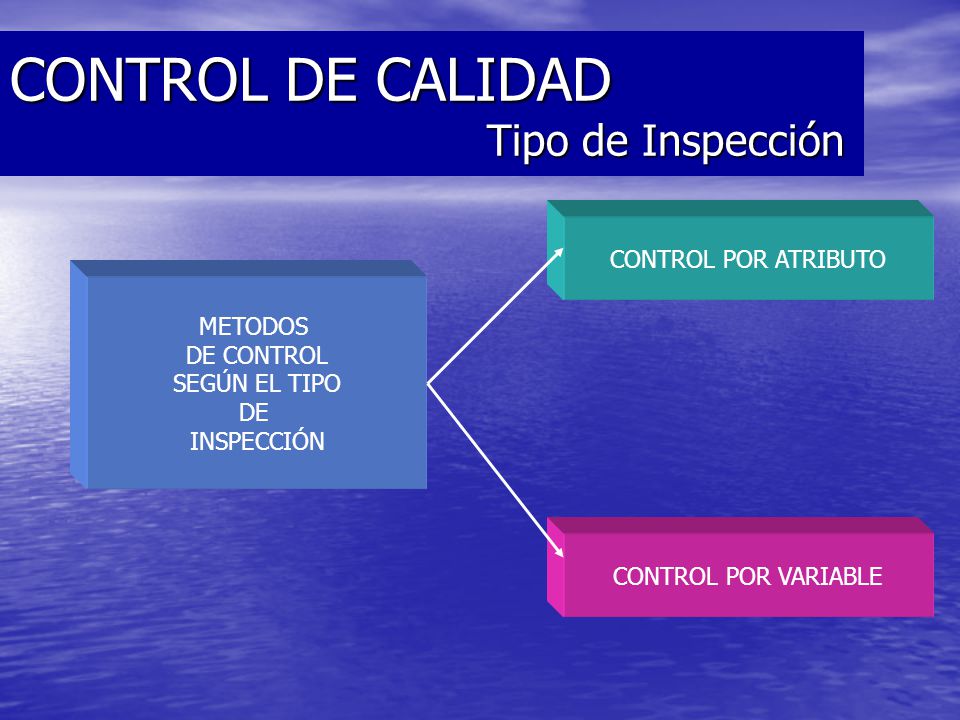 CONTROL DE CALIDAD Tipo de Inspección