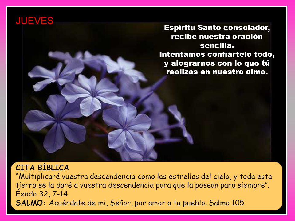 JUEVES Espíritu Santo consolador, recibe nuestra oración sencilla.