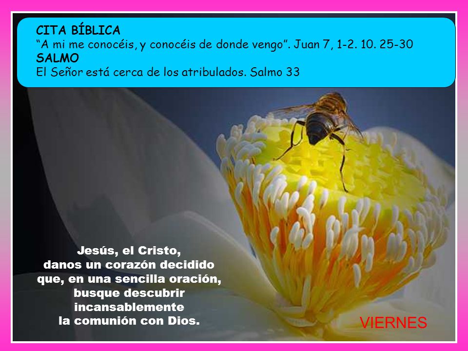 CITA BÍBLICA A mi me conocéis, y conocéis de donde vengo . Juan 7, SALMO. El Señor está cerca de los atribulados. Salmo 33.