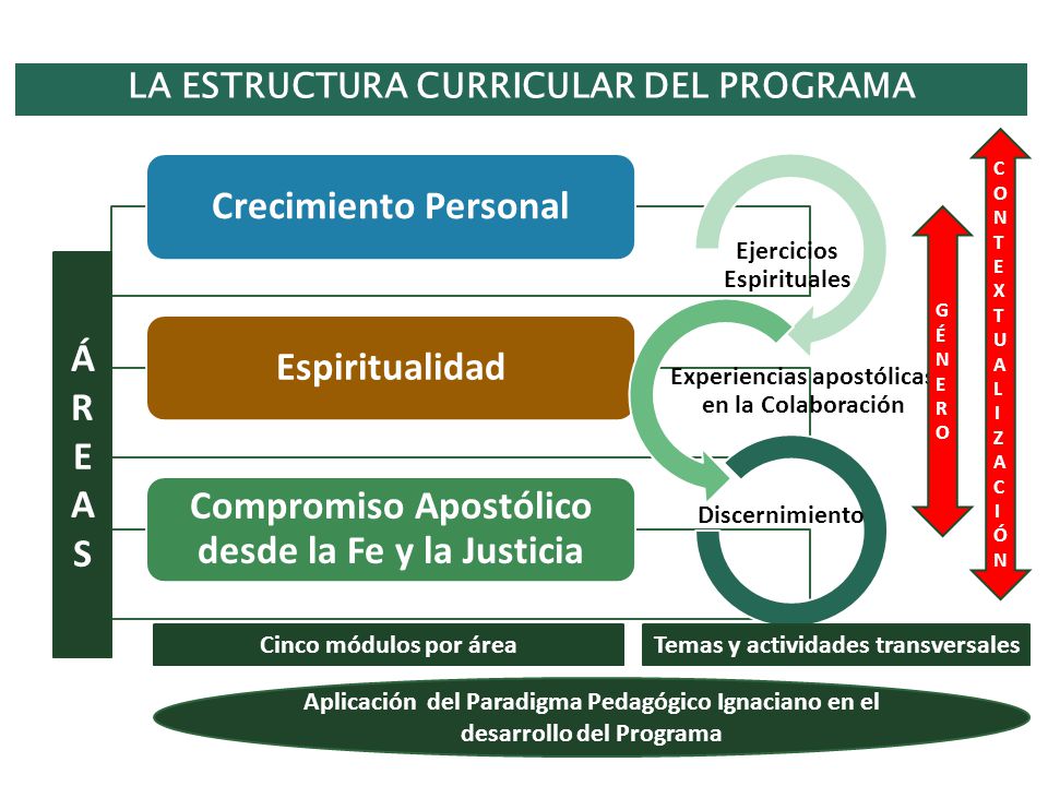 LA ESTRUCTURA CURRICULAR DEL PROGRAMA