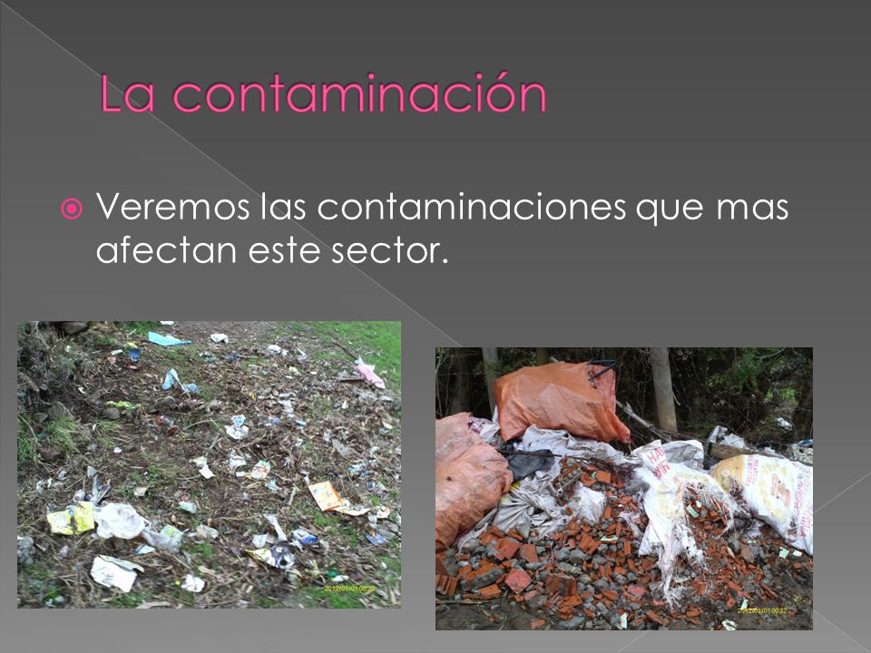 La contaminación Veremos las contaminaciones que mas afectan este sector.