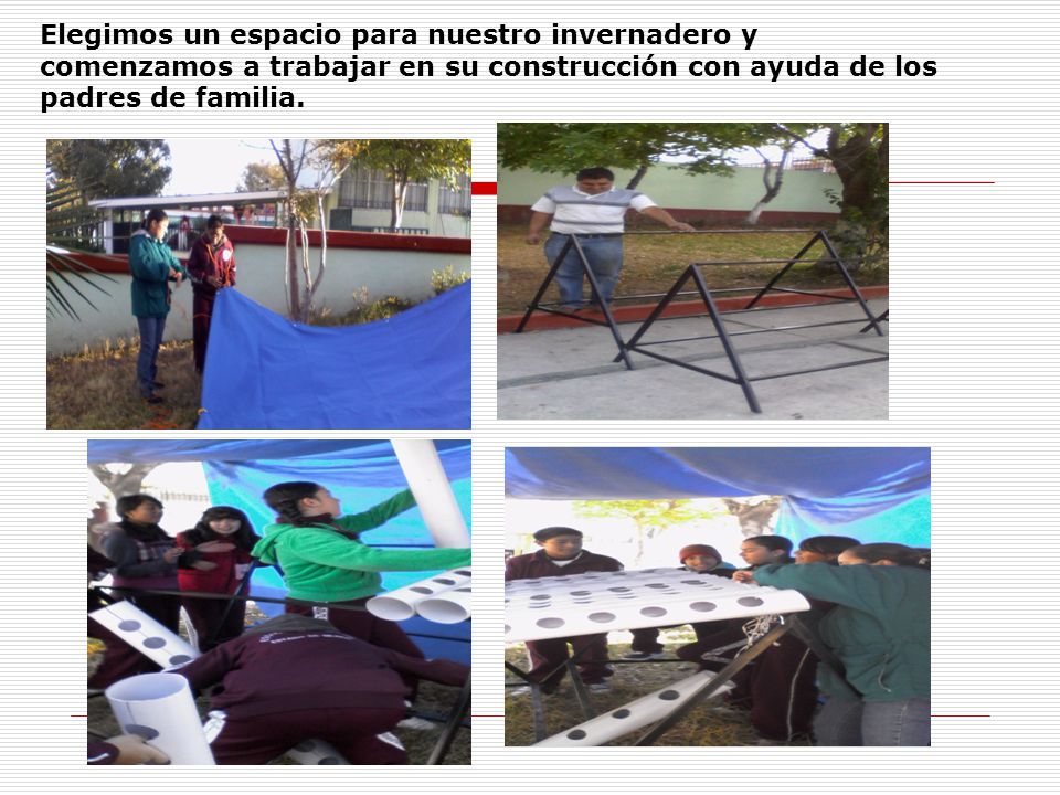 Elegimos un espacio para nuestro invernadero y comenzamos a trabajar en su construcción con ayuda de los padres de familia.