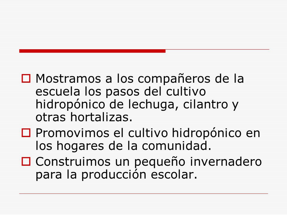 Mostramos a los compañeros de la escuela los pasos del cultivo hidropónico de lechuga, cilantro y otras hortalizas.