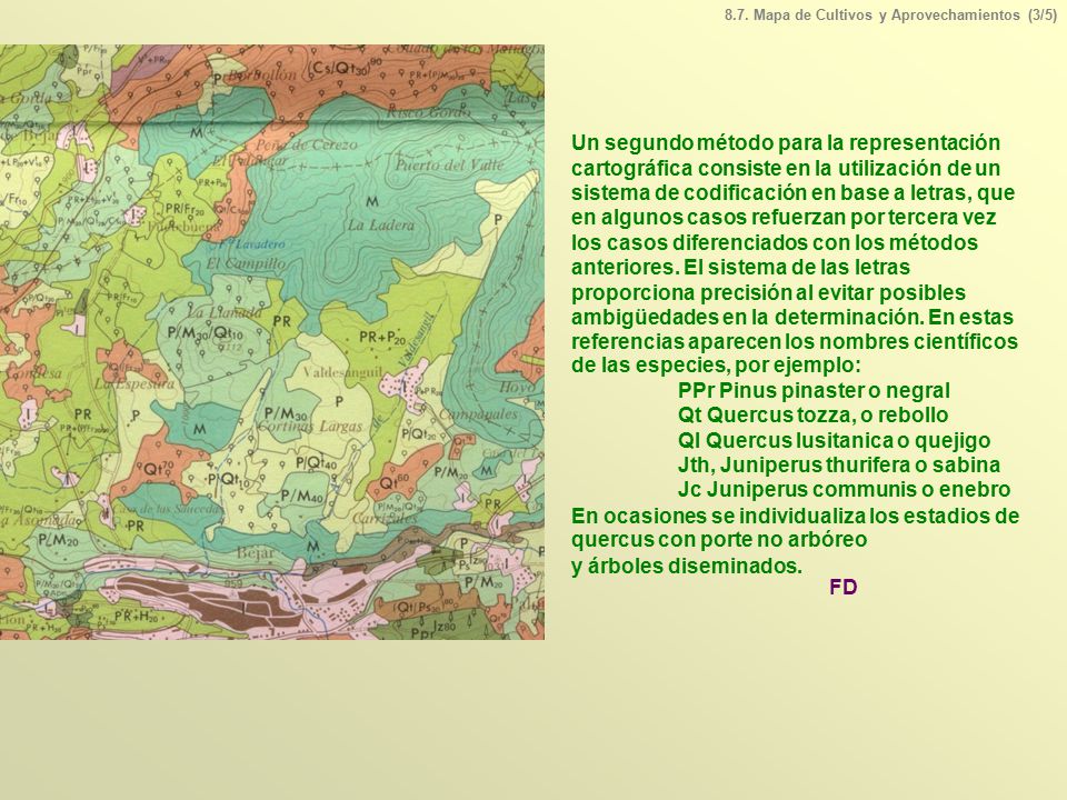 PPr Pinus pinaster o negral Qt Quercus tozza, o rebollo