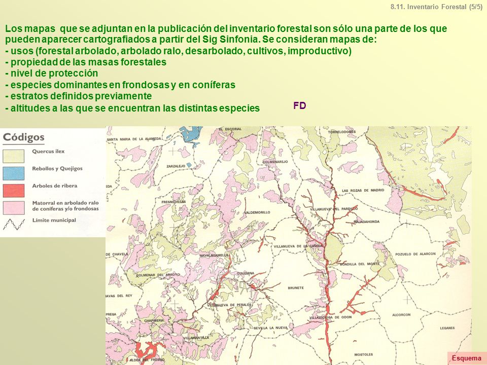 - propiedad de las masas forestales - nivel de protección