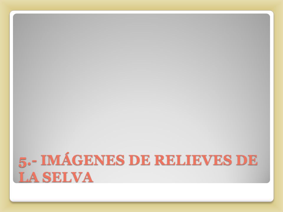 5.- IMÁGENES DE RELIEVES DE LA SELVA