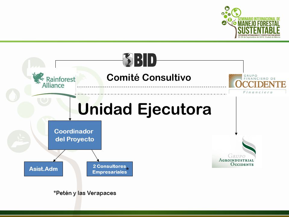 Unidad Ejecutora Comité Consultivo * Coordinador del Proyecto