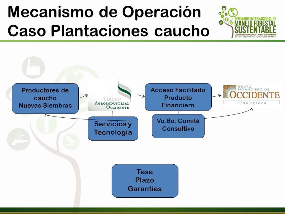Mecanismo de Operación Caso Plantaciones caucho