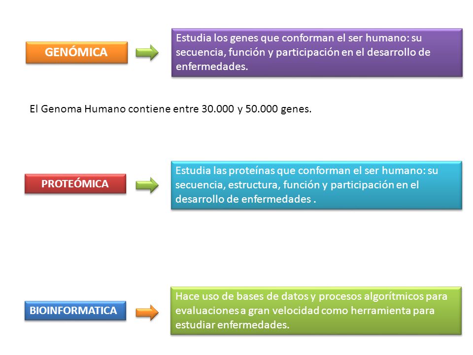 Estudia los genes que conforman el ser humano: su secuencia, función y participación en el desarrollo de enfermedades.