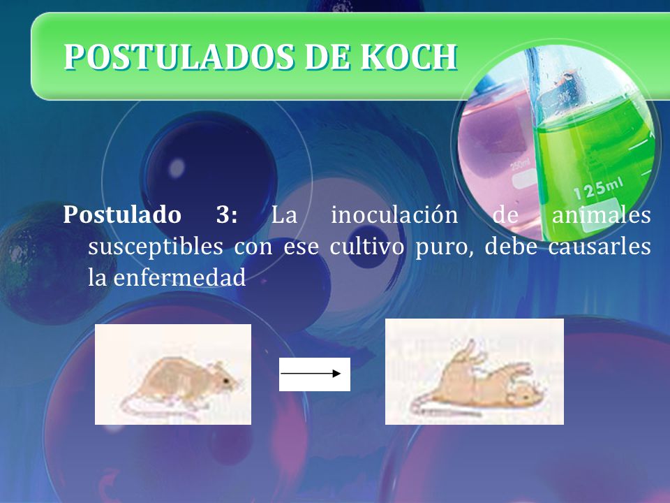 POSTULADOS DE KOCH Postulado 3: La inoculación de animales susceptibles con ese cultivo puro, debe causarles la enfermedad.