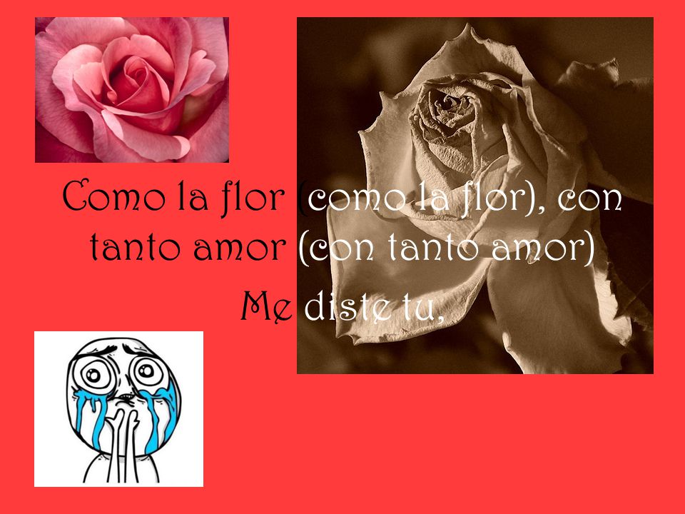 Como la flor (como la flor), con tanto amor (con tanto amor) Me diste tu,