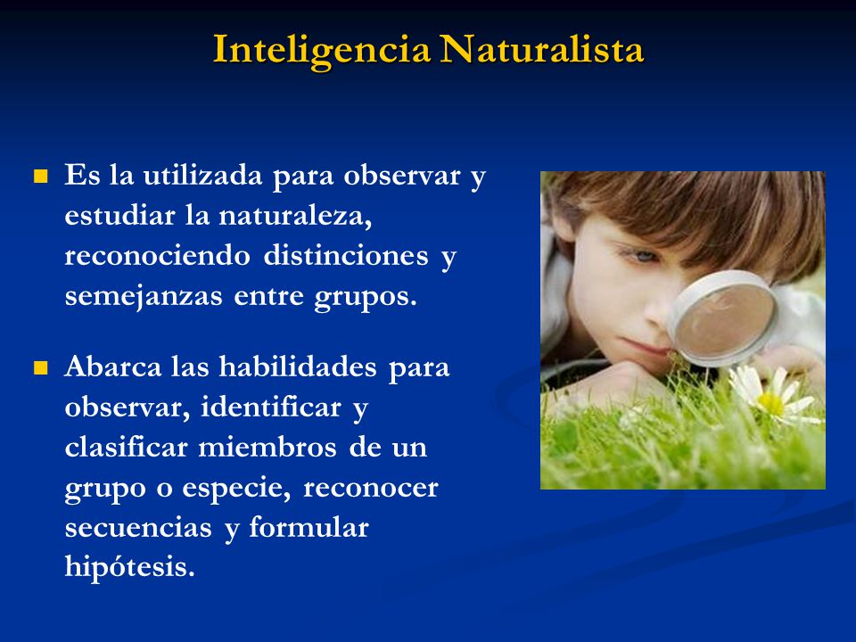 Inteligencia Naturalista