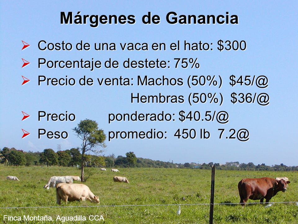 Márgenes de Ganancia Costo de una vaca en el hato: $300