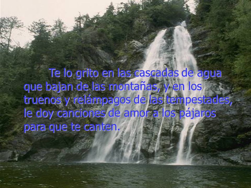 Te lo grito en las cascadas de agua que bajan de las montañas, y en los truenos y relámpagos de las tempestades, le doy canciones de amor a los pájaros para que te canten.