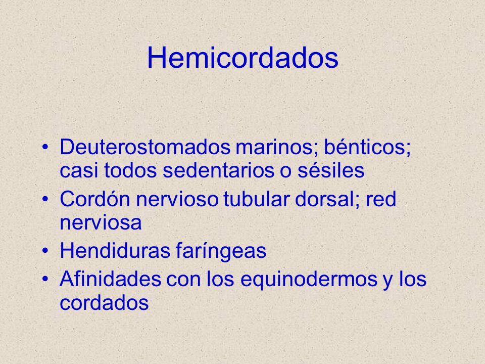 Hemicordados Deuterostomados marinos; bénticos; casi todos sedentarios o sésiles. Cordón nervioso tubular dorsal; red nerviosa.