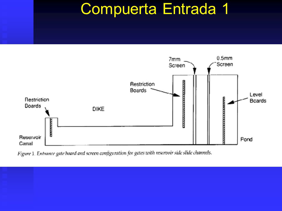 Compuerta Entrada 1