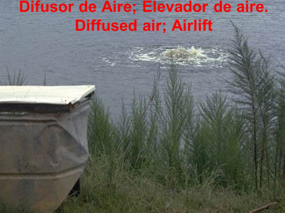 Difusor de Aire; Elevador de aire. Diffused air; Airlift