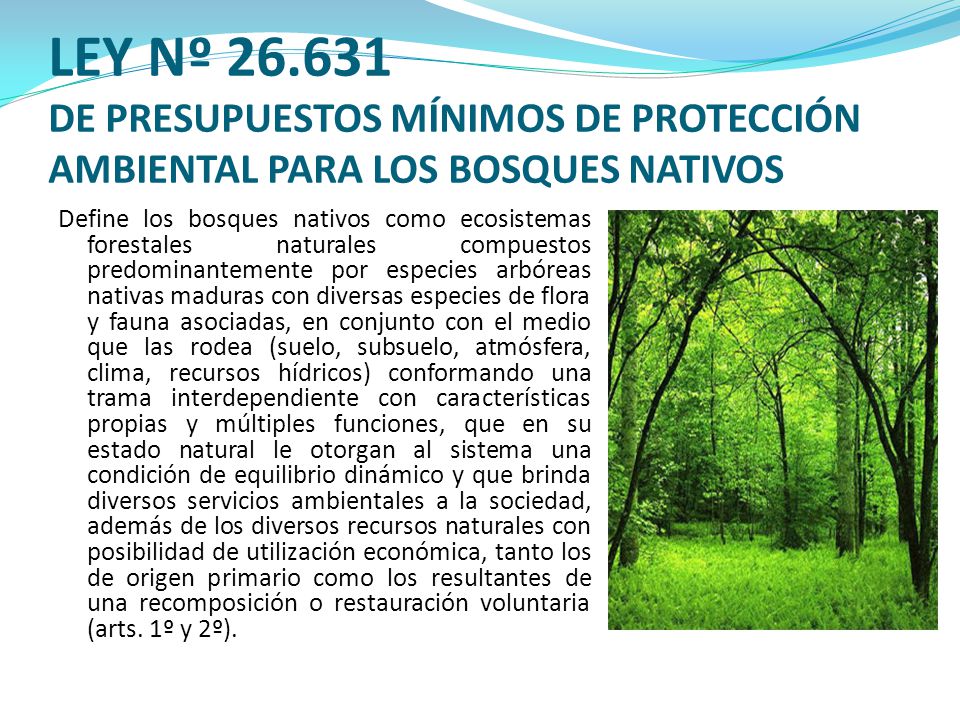 LEY Nº DE PRESUPUESTOS MÍNIMOS DE PROTECCIÓN AMBIENTAL PARA LOS BOSQUES NATIVOS