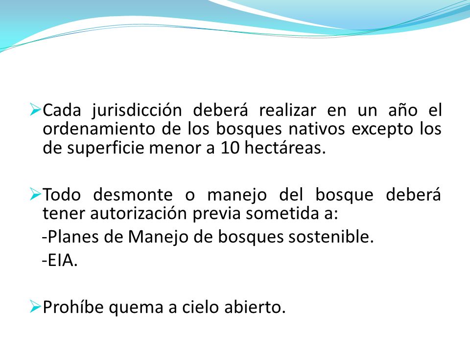 Cada jurisdicción deberá realizar en un año el ordenamiento de los bosques nativos excepto los de superficie menor a 10 hectáreas.