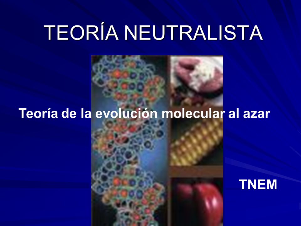 TEORÍA NEUTRALISTA Teoría de la evolución molecular al azar TNEM