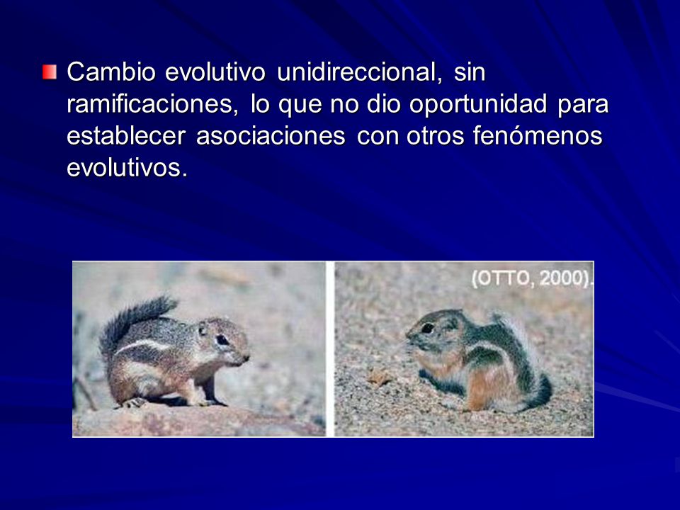 Cambio evolutivo unidireccional, sin ramificaciones, lo que no dio oportunidad para establecer asociaciones con otros fenómenos evolutivos.