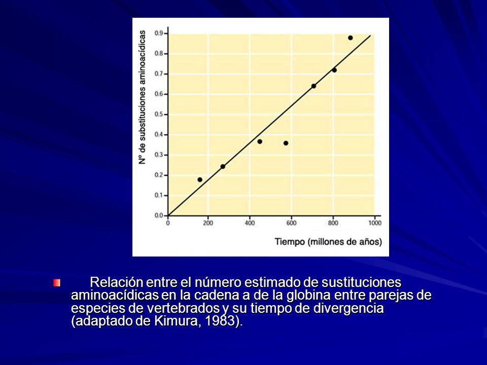 Relación entre el número estimado de sustituciones aminoacídicas en la cadena a de la globina entre parejas de especies de vertebrados y su tiempo de divergencia (adaptado de Kimura, 1983).