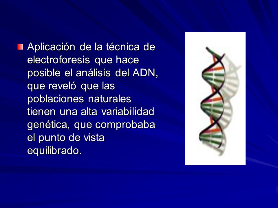 Aplicación de la técnica de electroforesis que hace posible el análisis del ADN, que reveló que las poblaciones naturales tienen una alta variabilidad genética, que comprobaba el punto de vista equilibrado.