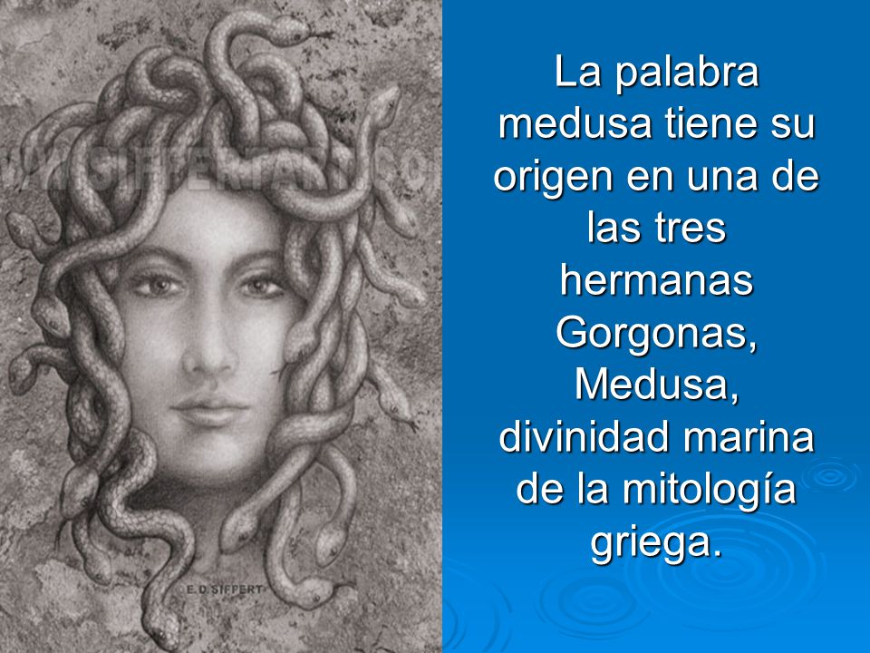 La palabra medusa tiene su origen en una de las tres hermanas Gorgonas, Medusa, divinidad marina de la mitología griega.