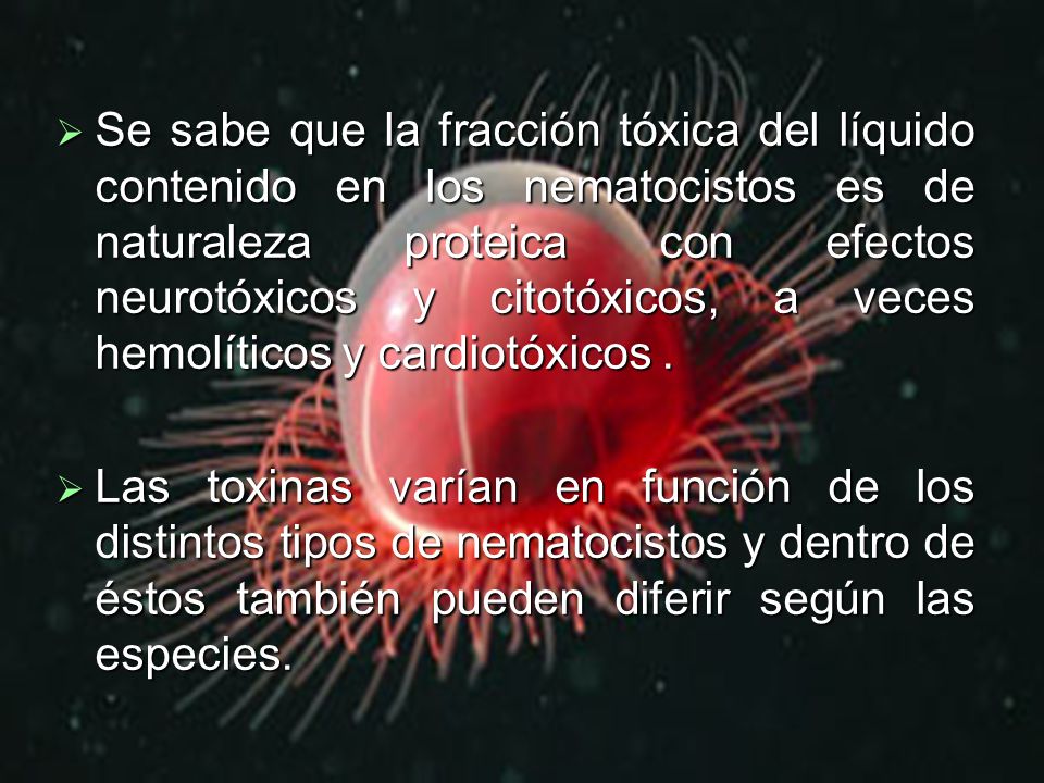 Se sabe que la fracción tóxica del líquido contenido en los nematocistos es de naturaleza proteica con efectos neurotóxicos y citotóxicos, a veces hemolíticos y cardiotóxicos .