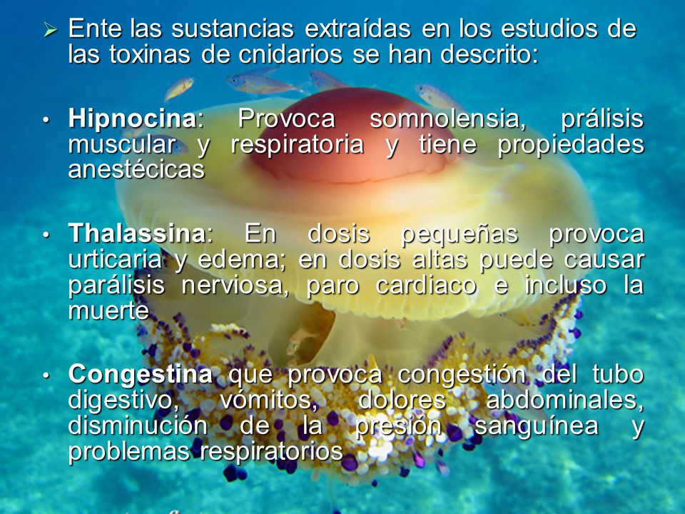 Ente las sustancias extraídas en los estudios de las toxinas de cnidarios se han descrito: