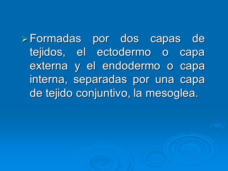 Formadas por dos capas de tejidos, el ectodermo o capa externa y el endodermo o capa interna, separadas por una capa de tejido conjuntivo, la mesoglea.