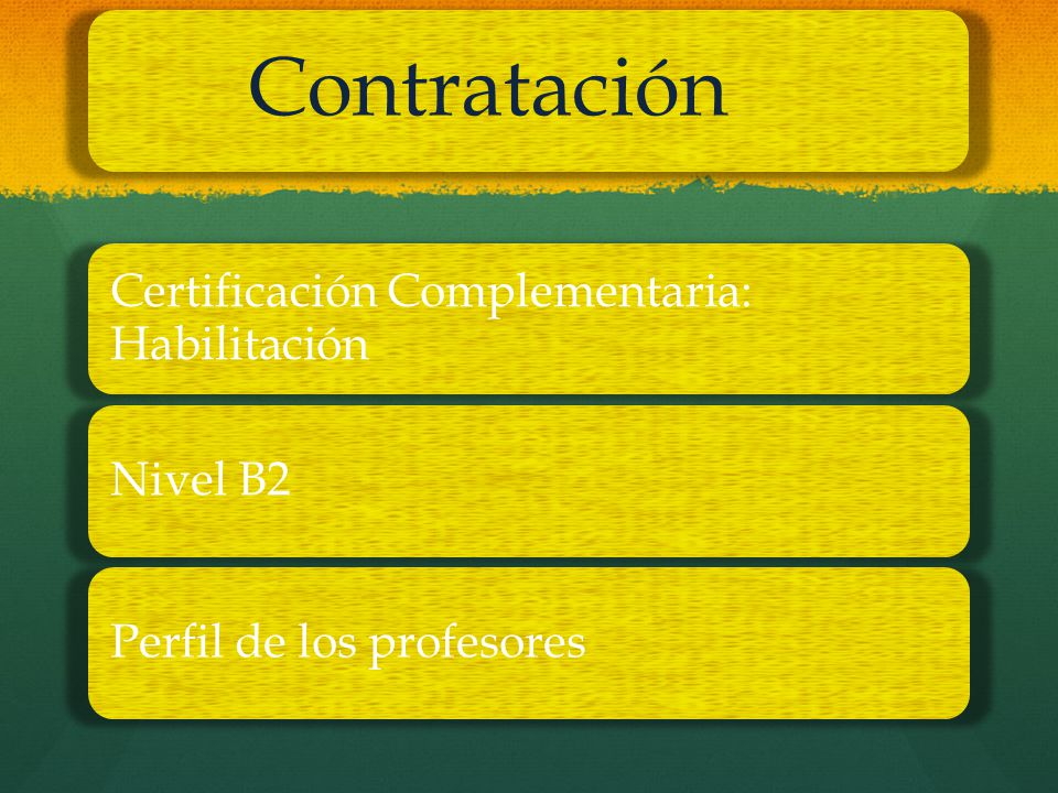 Contratación Certificación Complementaria: Habilitación Nivel B2 Perfil de los profesores