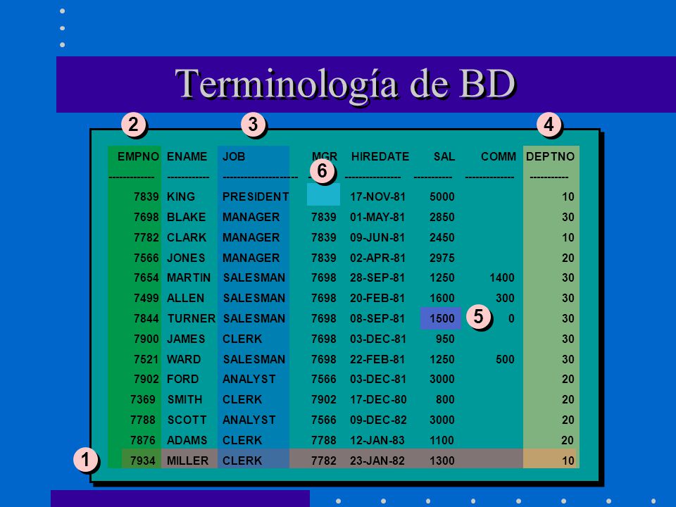 Terminología de BD EMPNO ENAME JOB MGR HIREDATE SAL COMM DEPTNO.