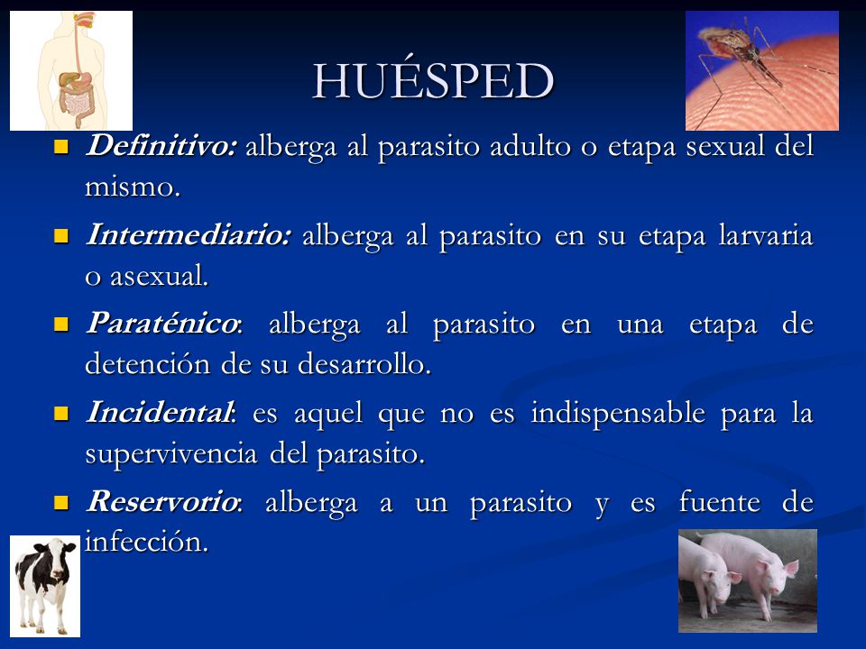HUÉSPED Definitivo: alberga al parasito adulto o etapa sexual del mismo. Intermediario: alberga al parasito en su etapa larvaria o asexual.