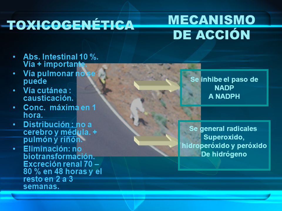 hidroperóxido y peróxido