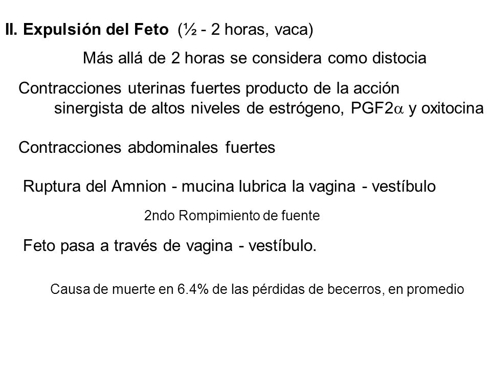 II. Expulsión del Feto (½ - 2 horas, vaca)