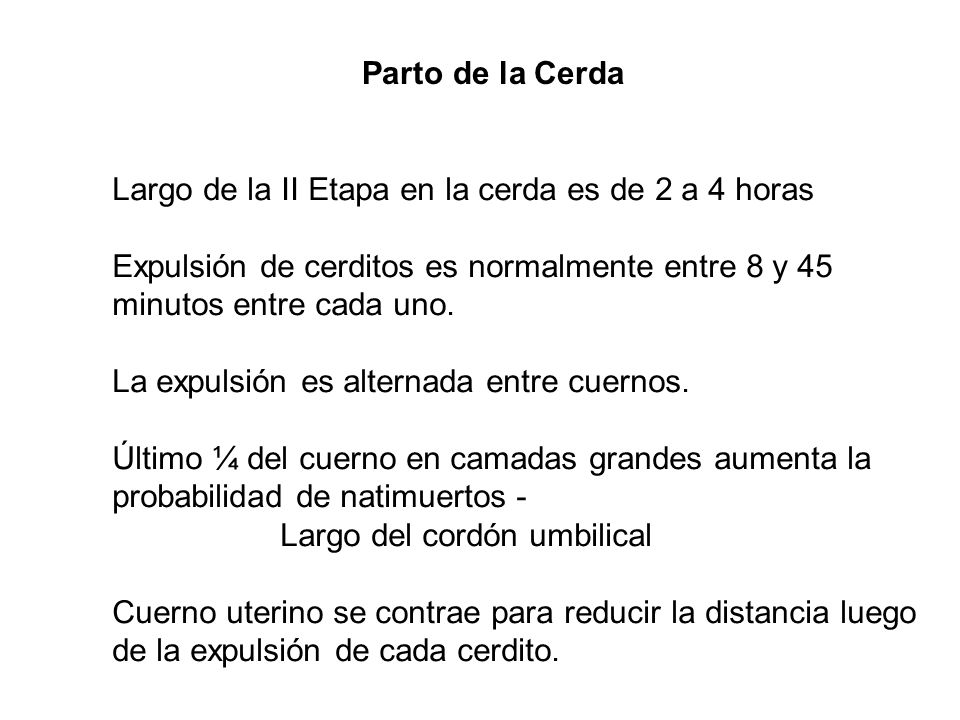 Parto de la Cerda Largo de la II Etapa en la cerda es de 2 a 4 horas. Expulsión de cerditos es normalmente entre 8 y 45.