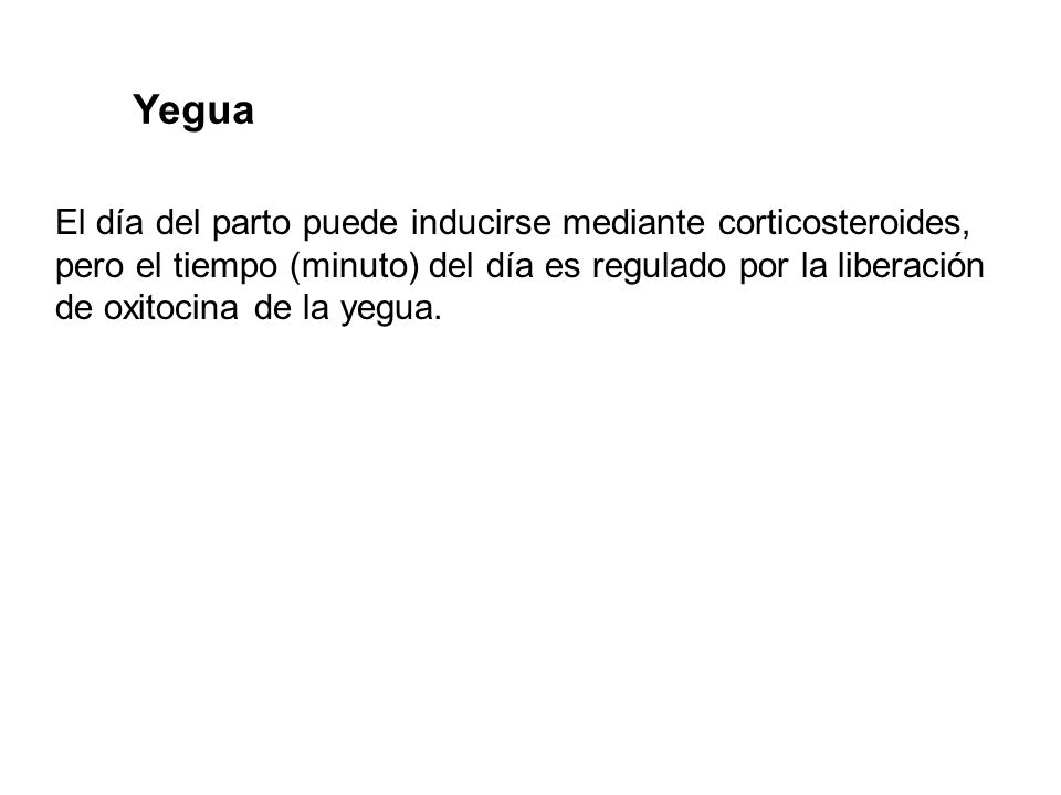 Yegua El día del parto puede inducirse mediante corticosteroides,