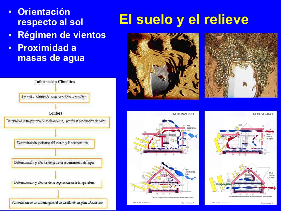 El suelo y el relieve Orientación respecto al sol Régimen de vientos