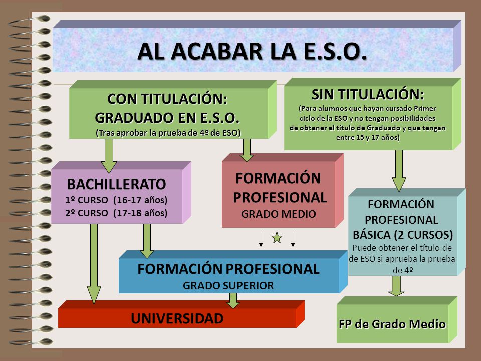 AL ACABAR LA E.S.O. SIN TITULACIÓN: CON TITULACIÓN: GRADUADO EN E.S.O.