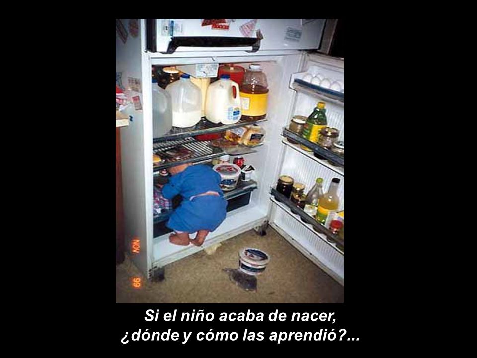 Si el niño acaba de nacer, ¿dónde y cómo las aprendió ...