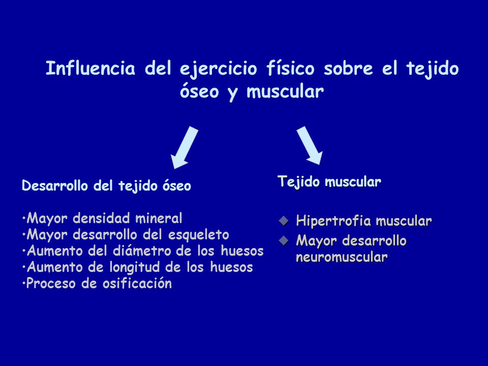 Influencia del ejercicio físico sobre el tejido óseo y muscular