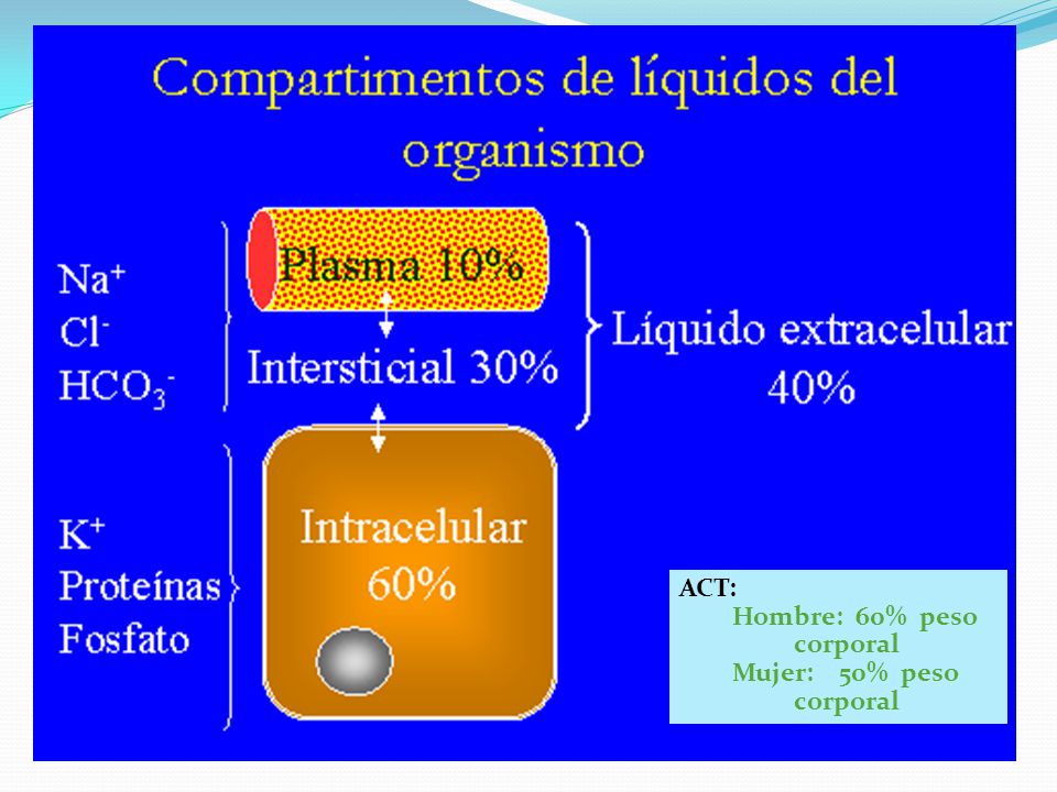 ACT: Hombre: 60% peso corporal Mujer: 50% peso corporal
