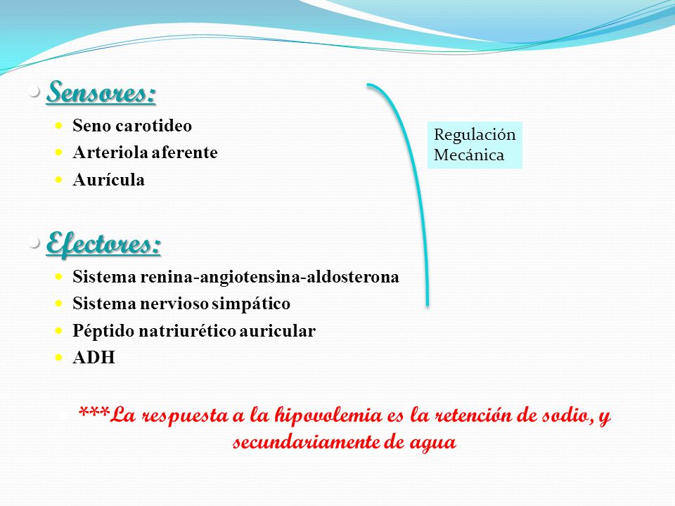 Sensores: Seno carotideo. Arteriola aferente. Aurícula. Efectores: Sistema renina-angiotensina-aldosterona.