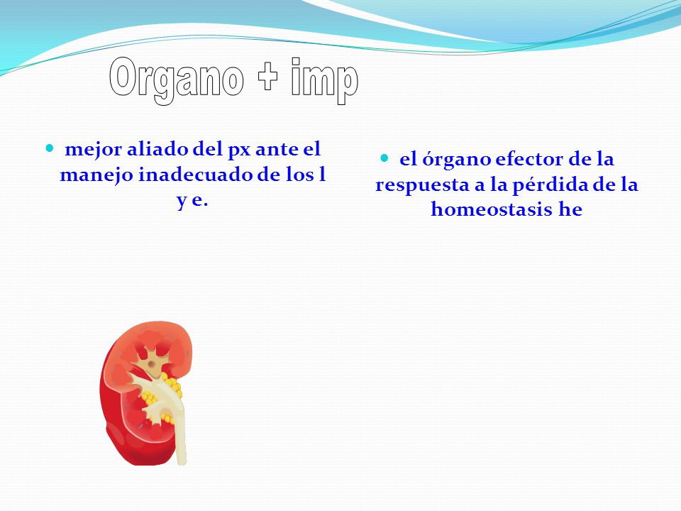 Organo + imp mejor aliado del px ante el manejo inadecuado de los l y e.